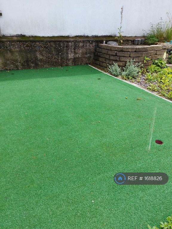 Golf Putting Green