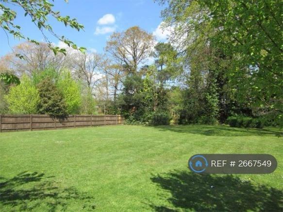 Communal Garden
