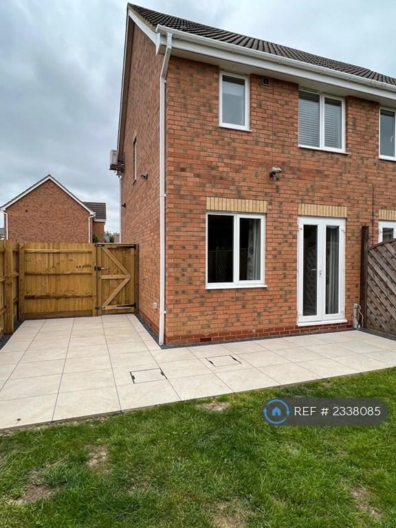 Back Garden
