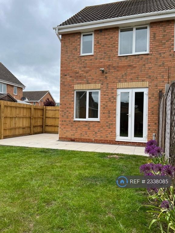 Back Garden
