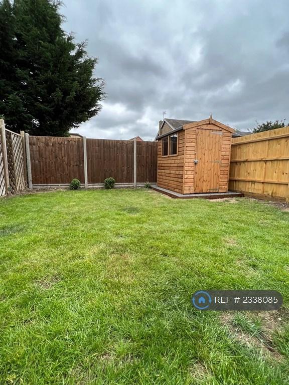 Back Garden