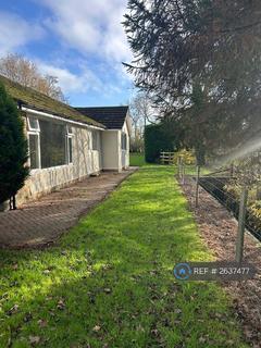 3 bedroom bungalow to rent, Ravensworth, Richmond, DL11