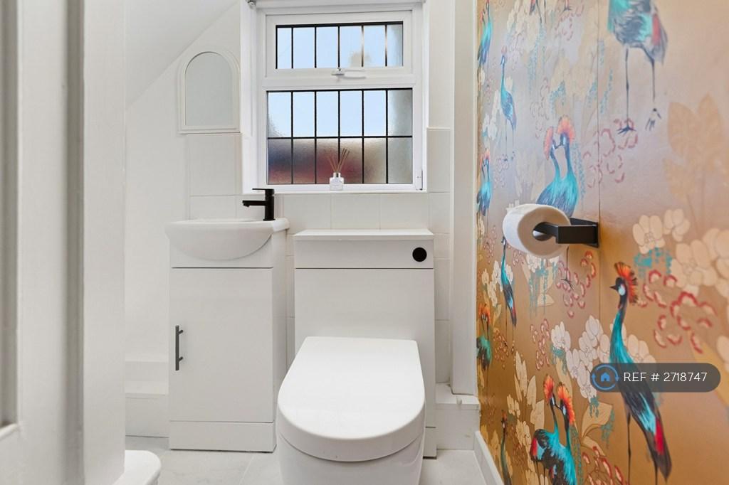 Stylish Wc With Bold Feature Wallpaper