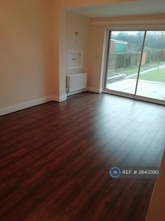 Rear Lounge