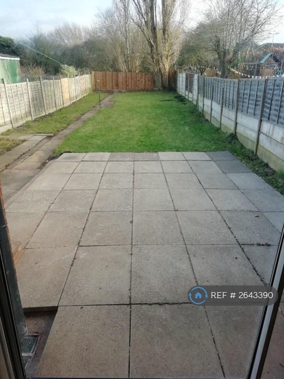 Rear Lounge View