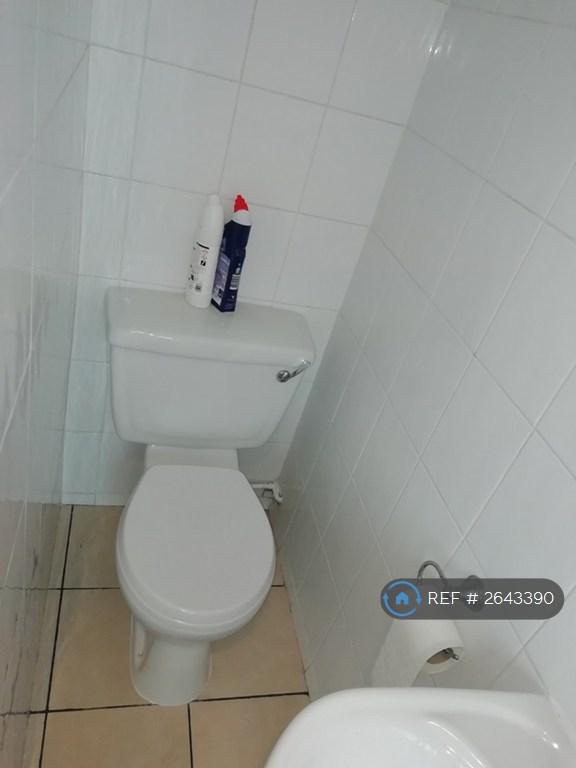 Downstairs Bathroom