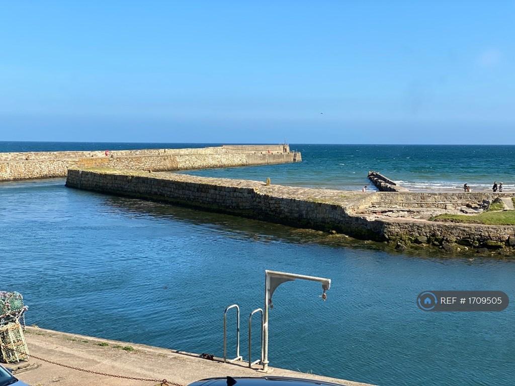 Pier For Walk From Sitting Room Window