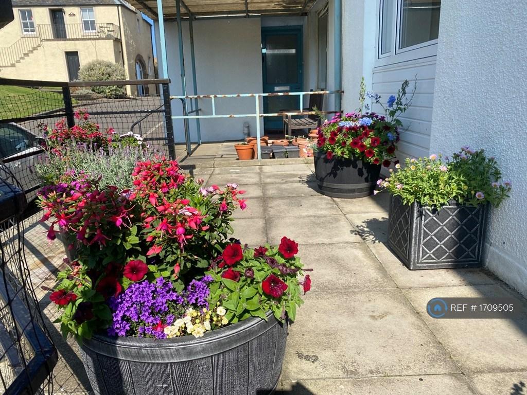 Terrace Flowers