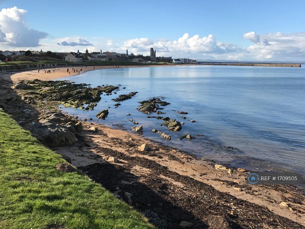 Near The Swimming Pool Looking Back