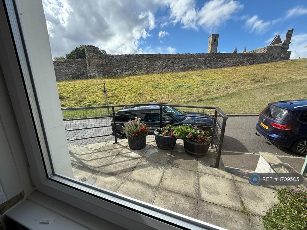 From Kitchen Window To Cathedral