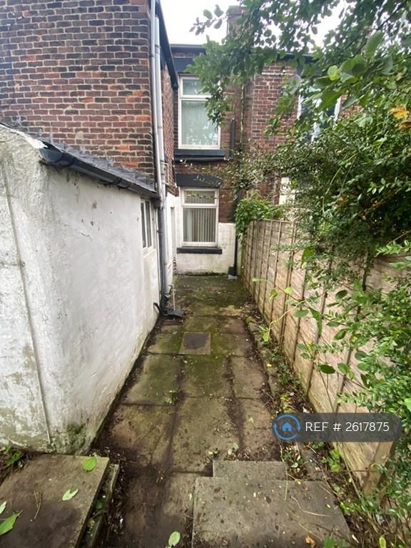 Back Garden