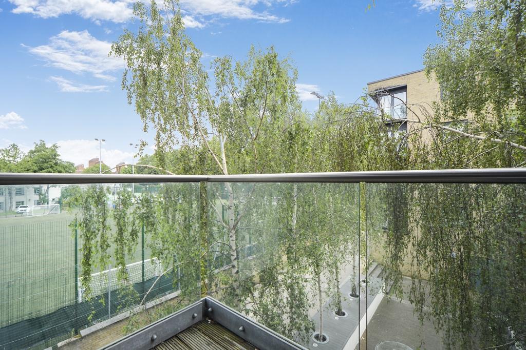 DSC 9231 web