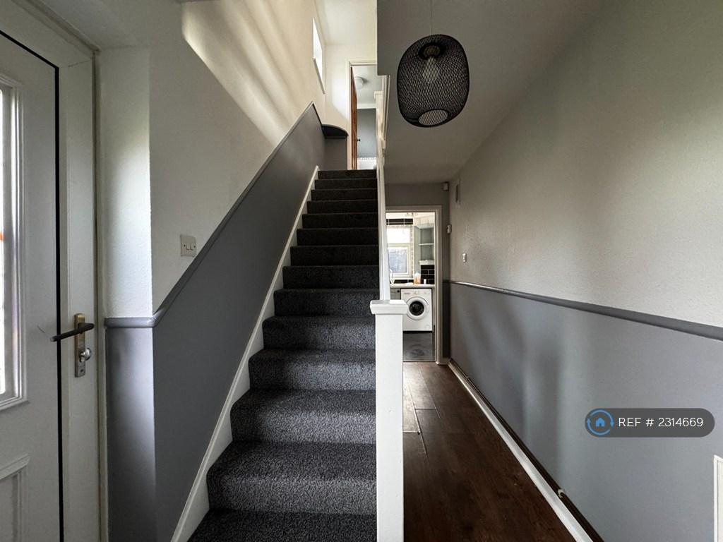 Downstairs Hallway