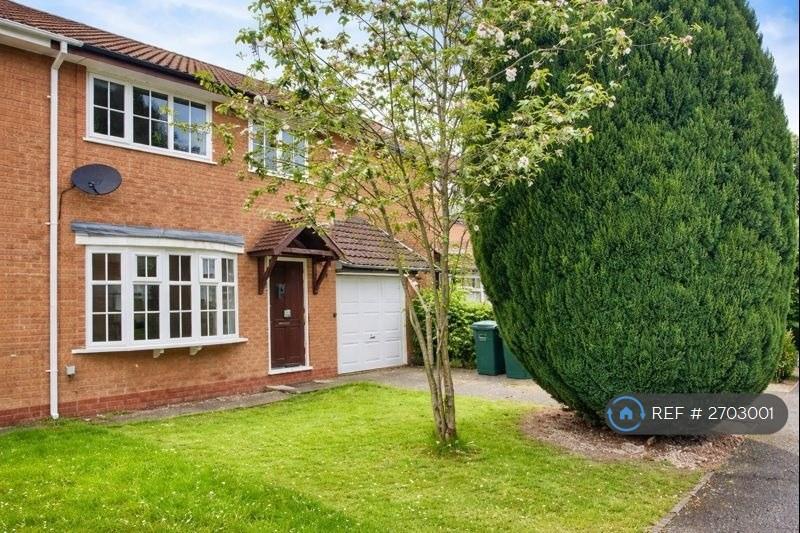 Front View From Left Apple Tree