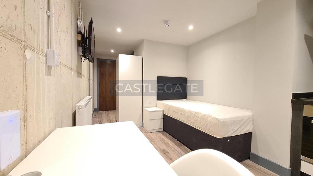 Renanissance Works Room 14 (4)