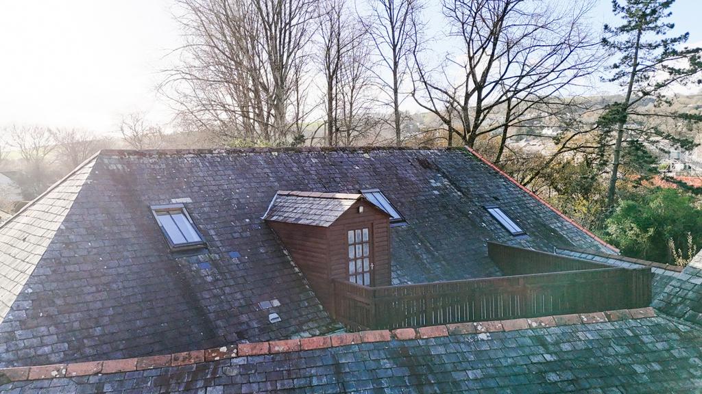 Dji 20241202124212 0354 d