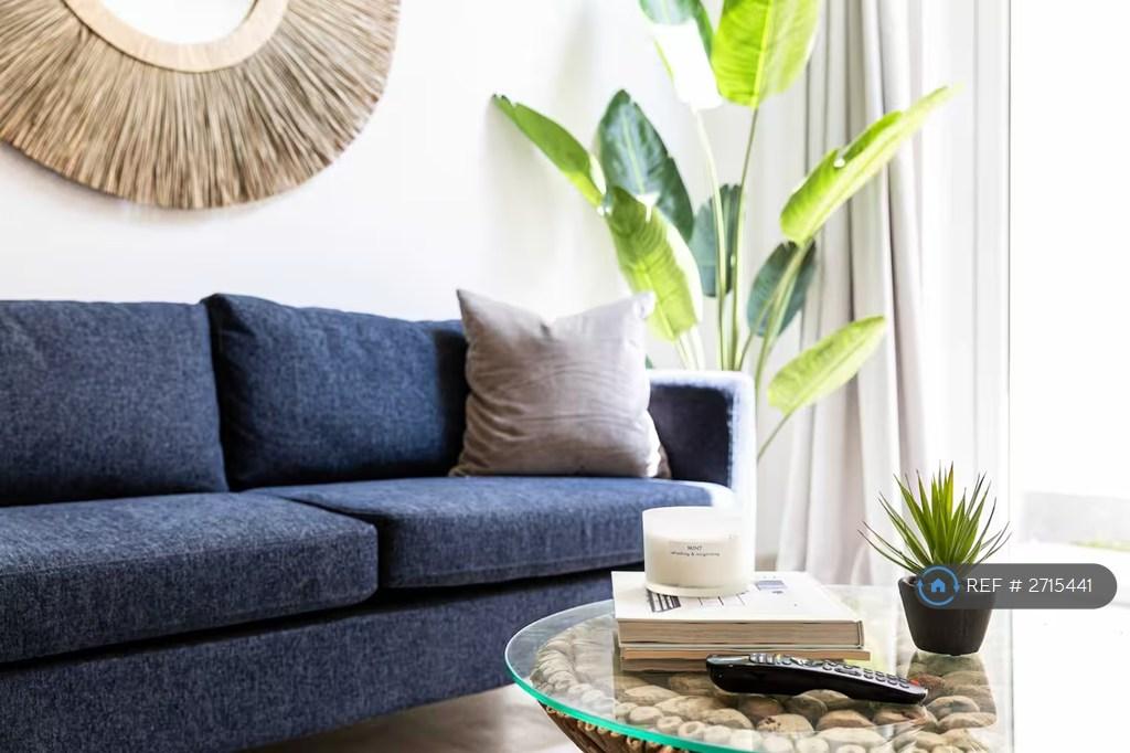 Close Up Setting Area