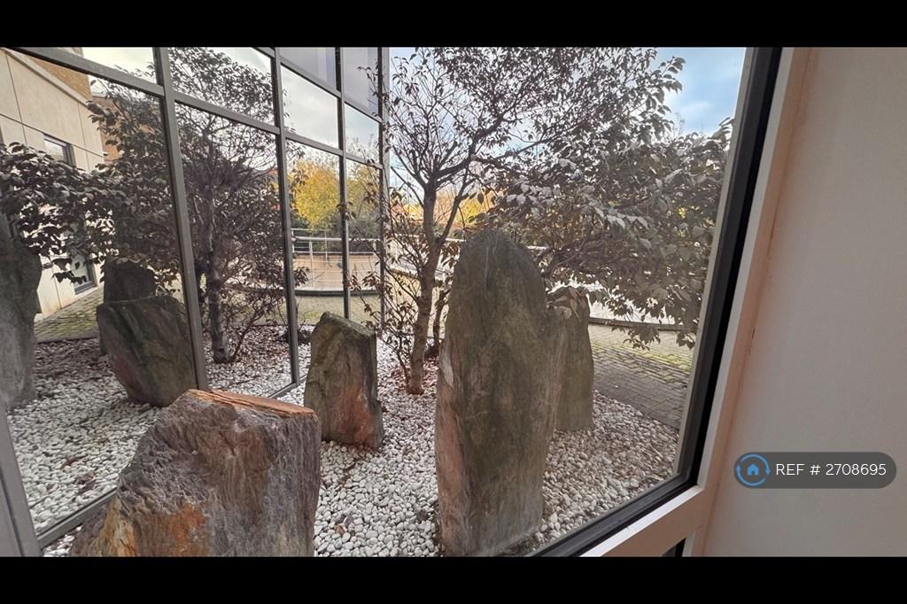 Looking Outside From The Bedroom