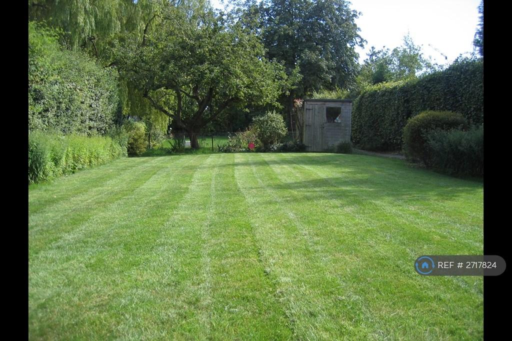 Garden In The Summer