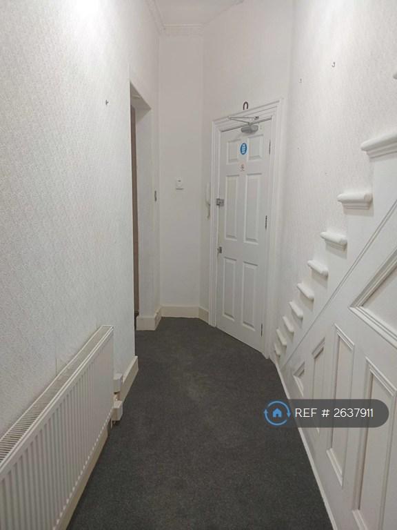 New Carpet