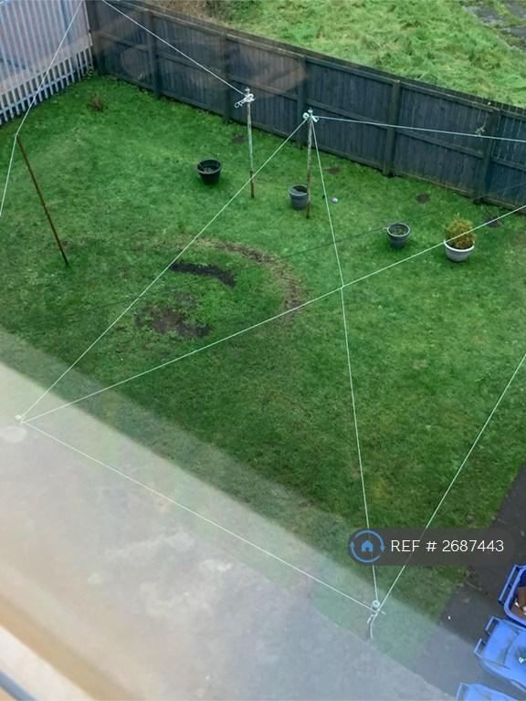 Back Garden