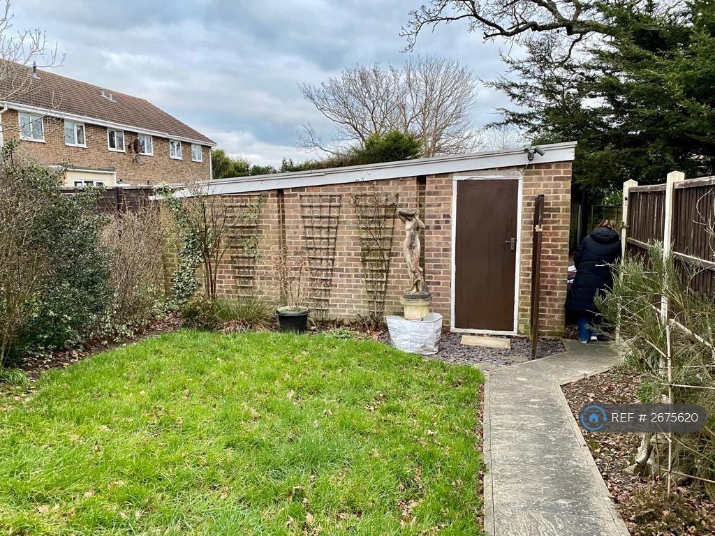Back Garden