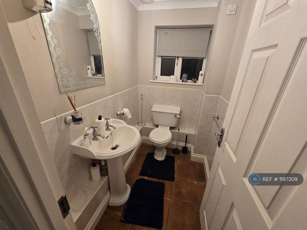 Extra Toilet