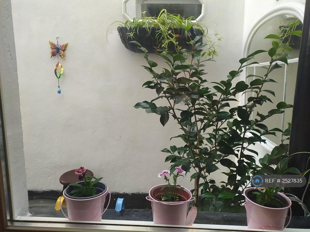 Kitchen Window