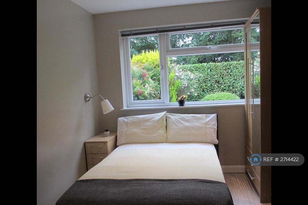 Studio #2 Window Faces Rear Garden