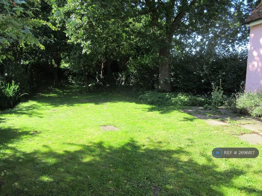 Woodland Garden