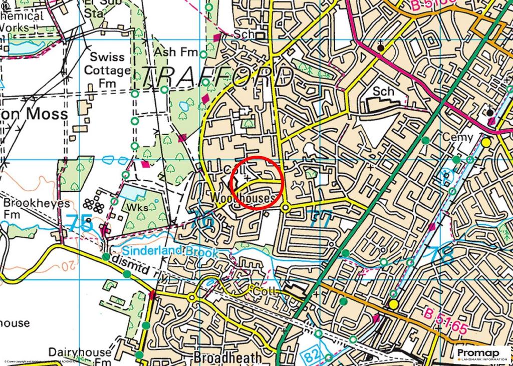 Town Plan