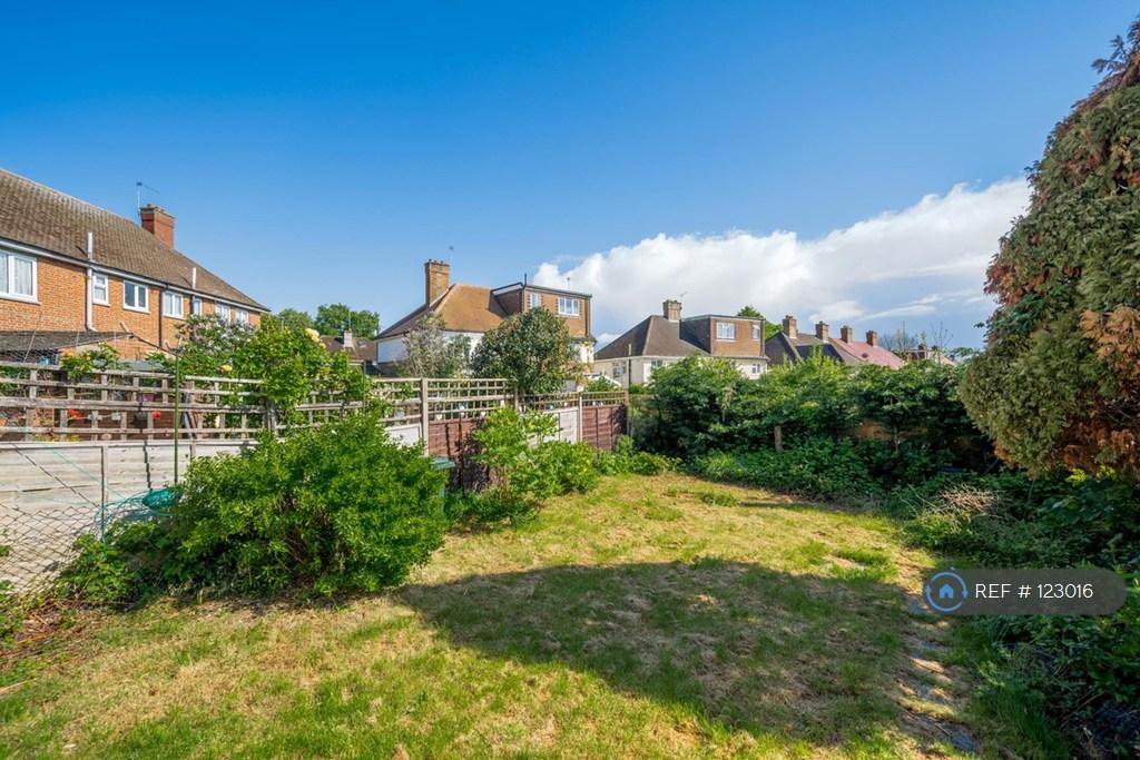 Back Garden