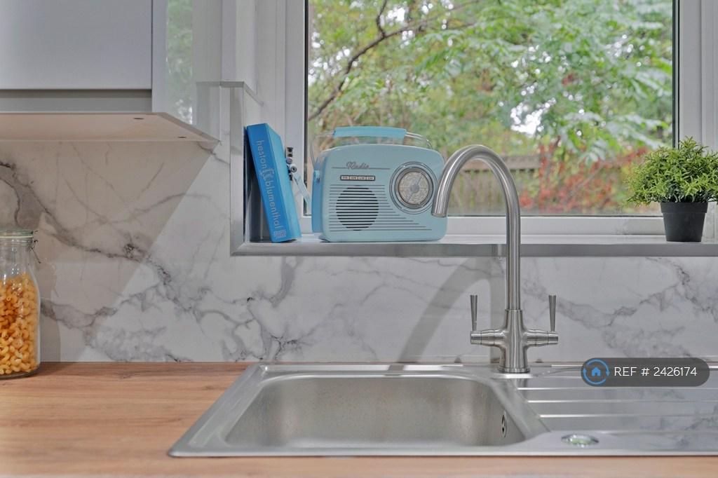 Kitchen Sink (Dishwasher Included)