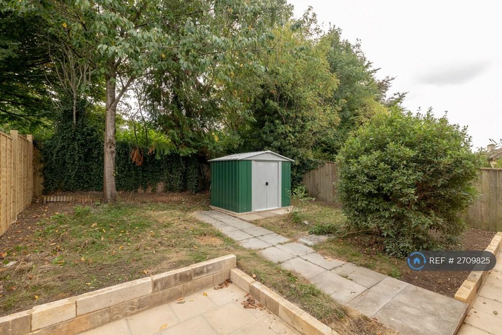 Shed In Back Garden