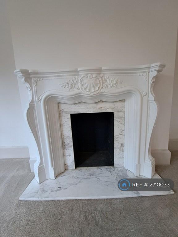 Ornamental Fireplace