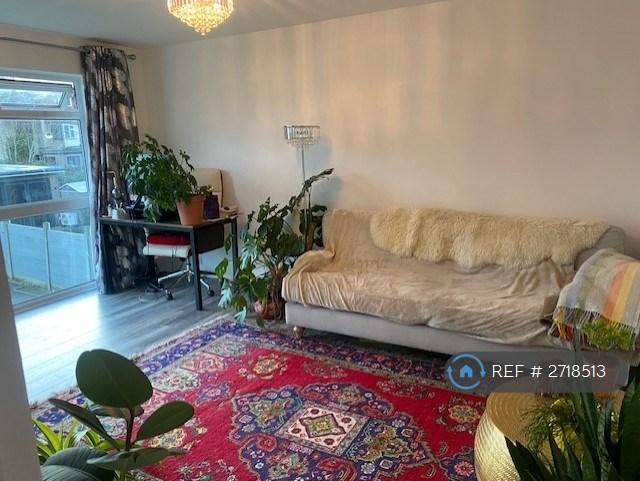 Living Room 2