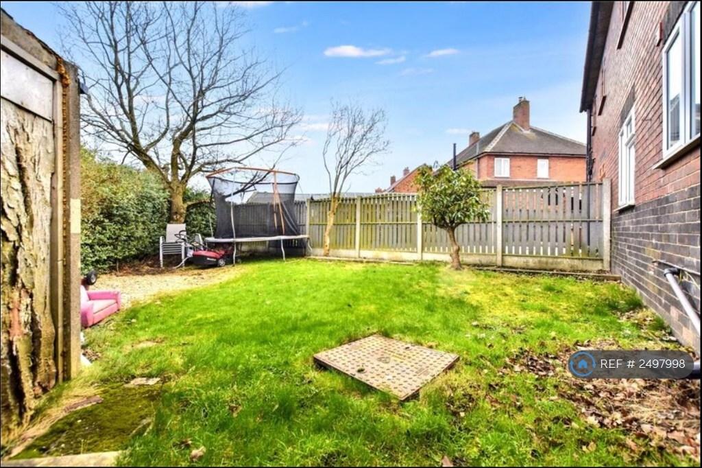 Back Garden 2