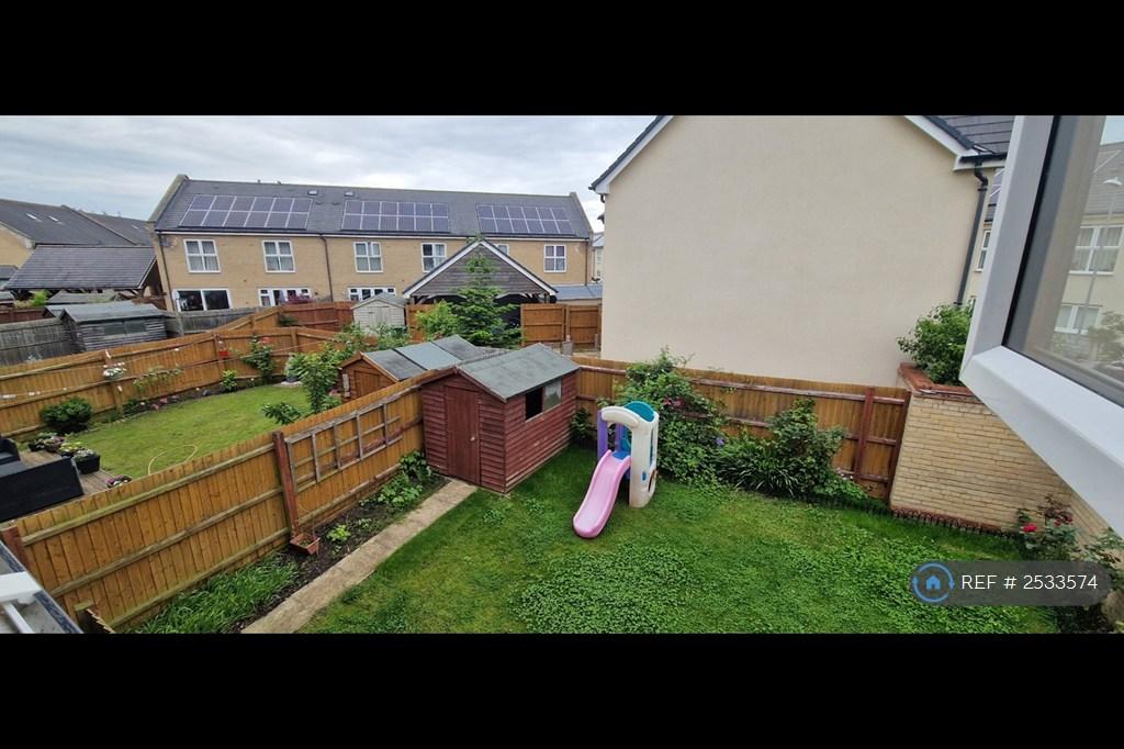 Back Garden
