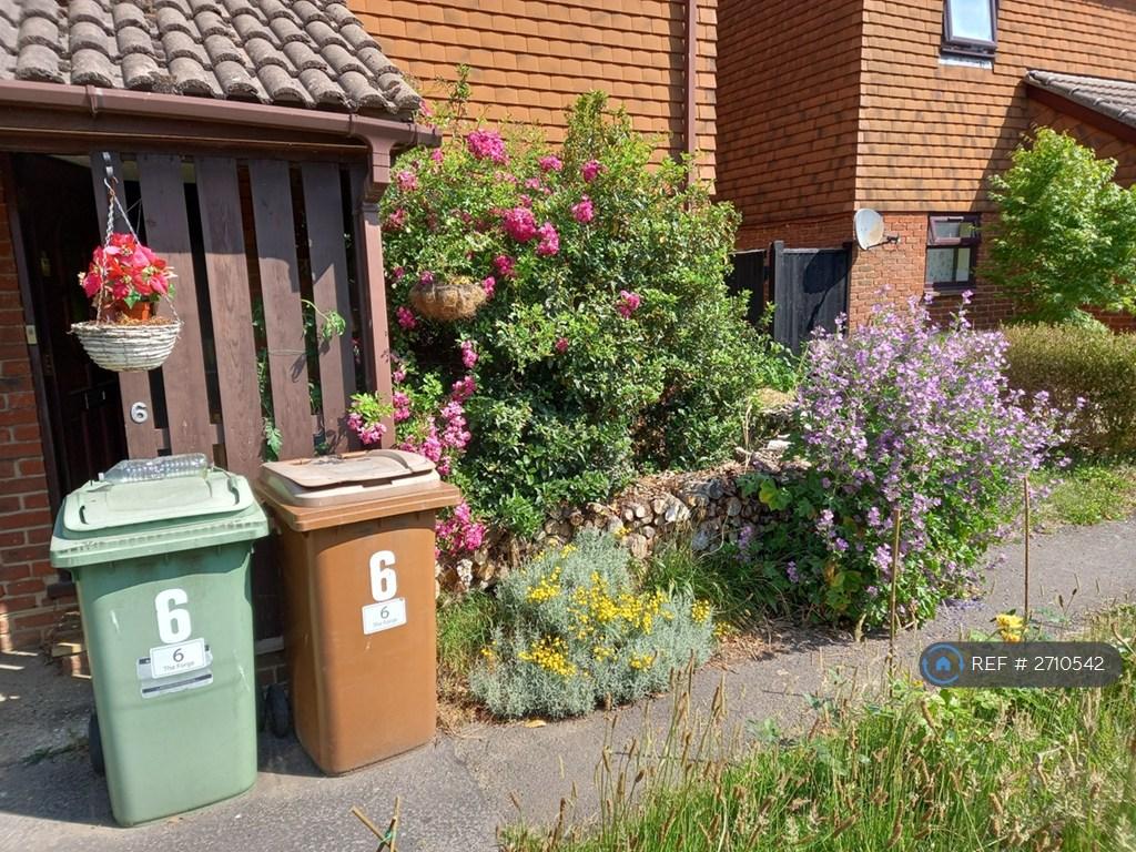 Front Garden In Full Bloom!