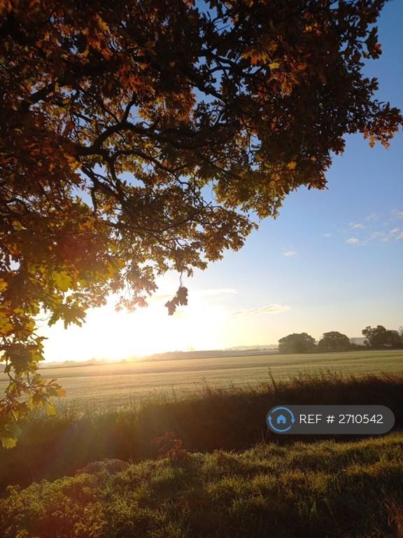 The Farm, One Minute Walk Away
