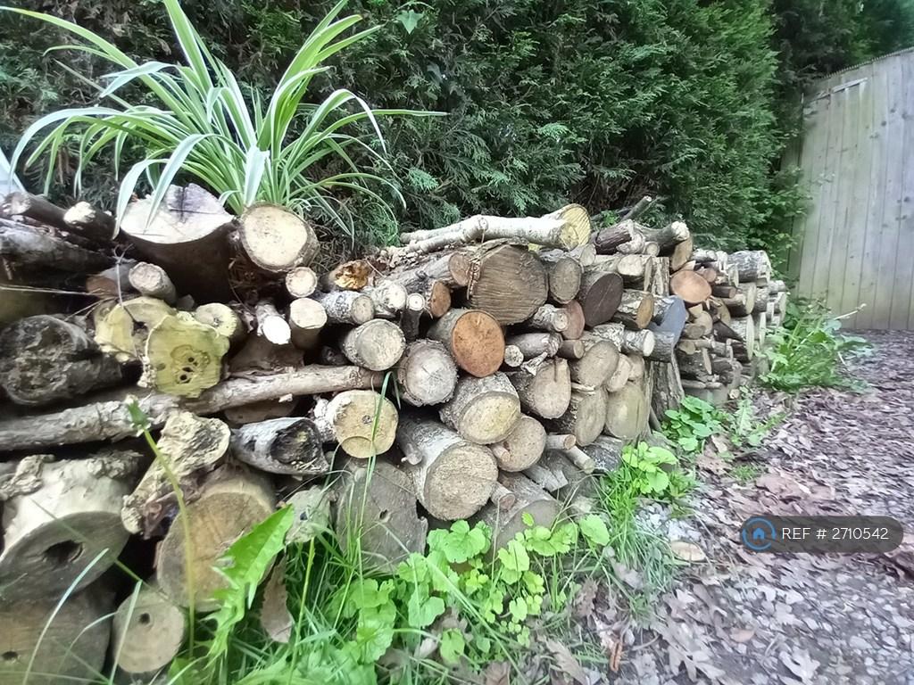 Hedgehog Houses Concealed In Log Stacks