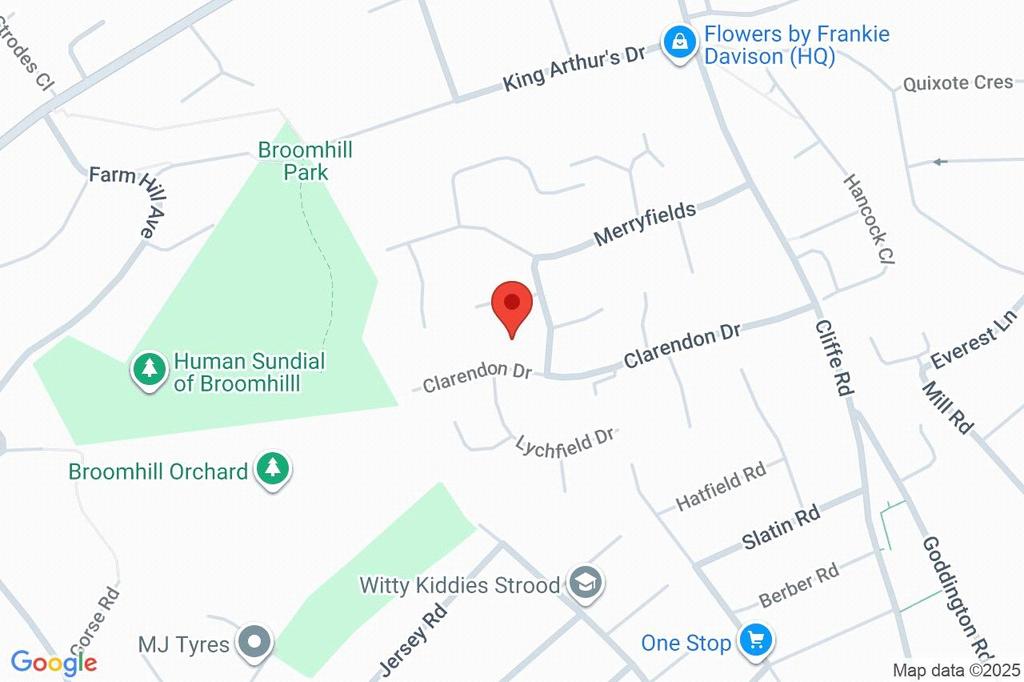 Google Maps Image