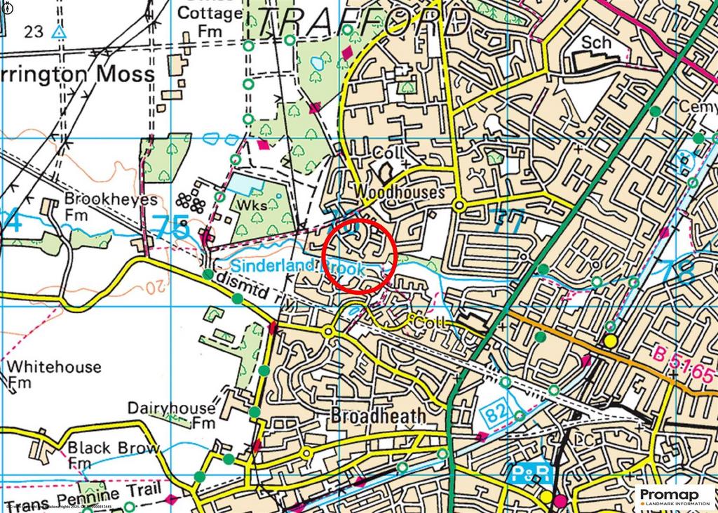 Town Plan