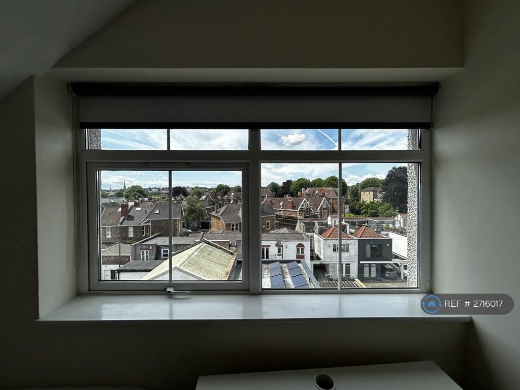 Window