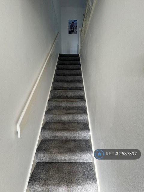 Stairs In Inner Hallway