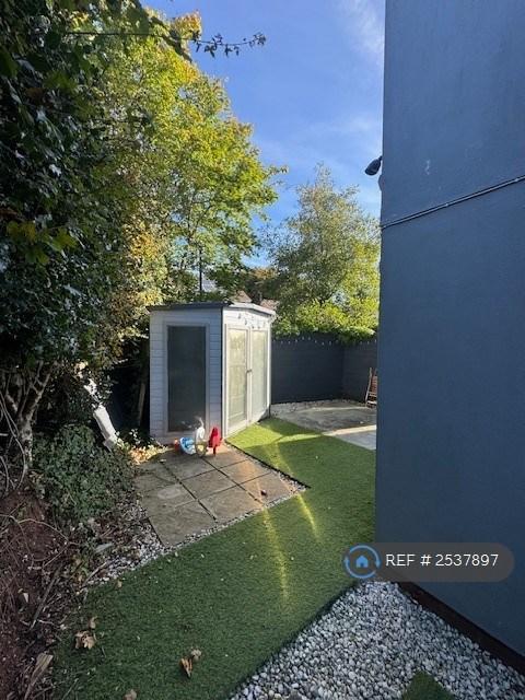 Part Of Back Garden (Iii)