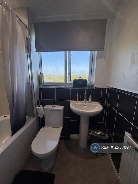Family Bathroom (Ii)