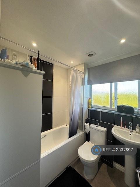 Family Bathroom (Iii)