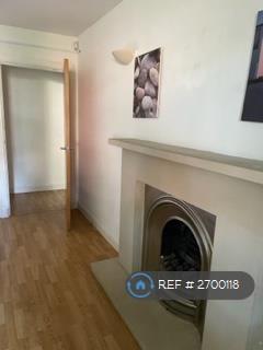 Bedroom/ Living Rm  Fireplace