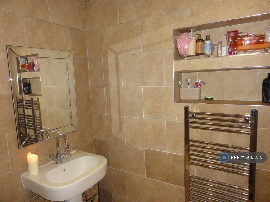 Downstairs Bathroom2